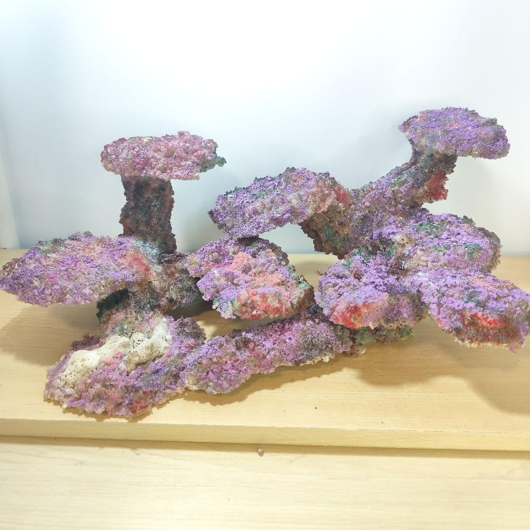 新品アク抜き不要 分離型人工ライブロック 60cm海水水槽用 レプリカ 多孔質4