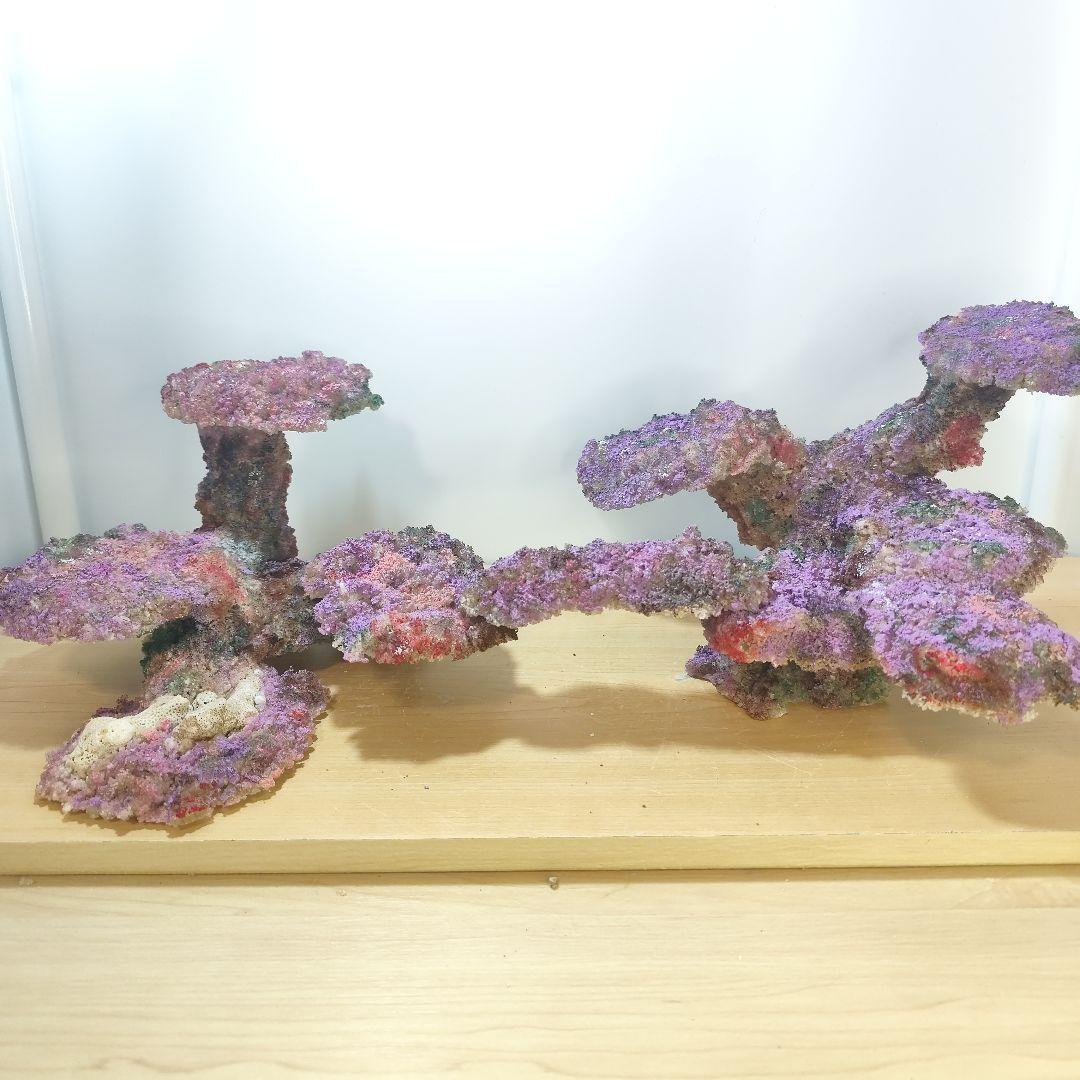 新品アク抜き不要 分離型人工ライブロック 60cm海水水槽用 レプリカ 多孔質4