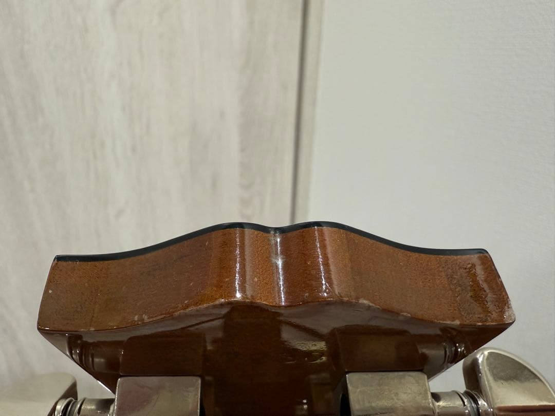 Gibson hummingbird(ハードケース付)