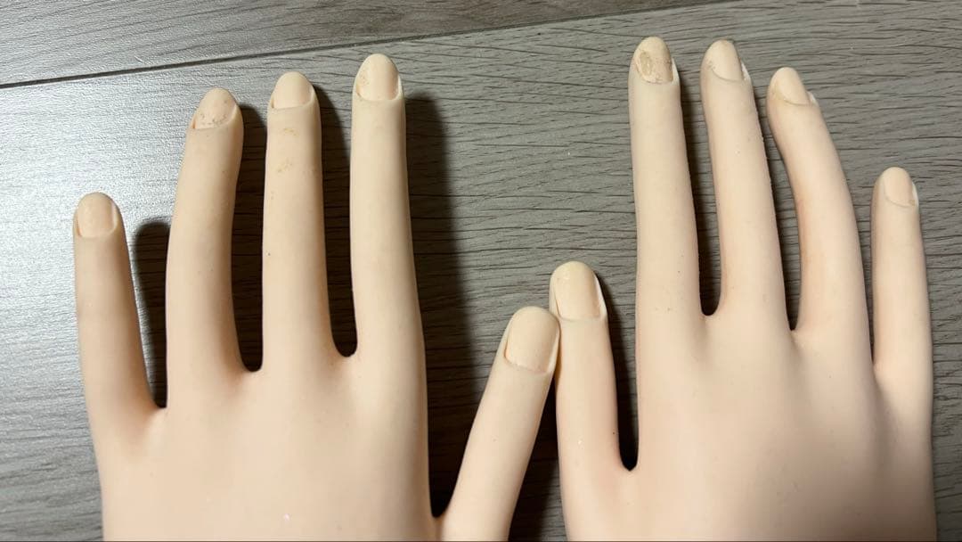 JNEC 認定モデルハンド(骨折なし)