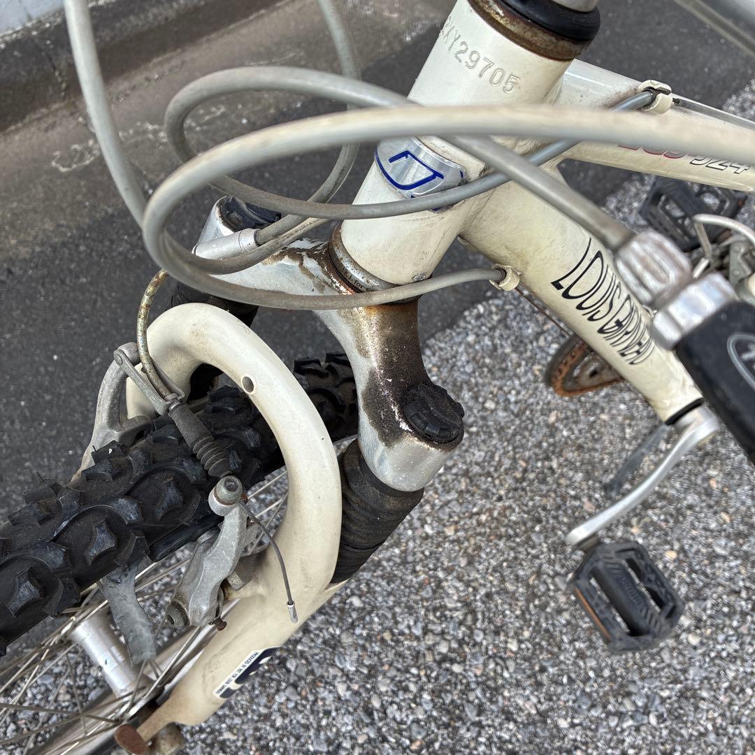 お値下げ‼️LOUISGARNEAU 24インチジュニアマウンテンバイク　ルイガノ