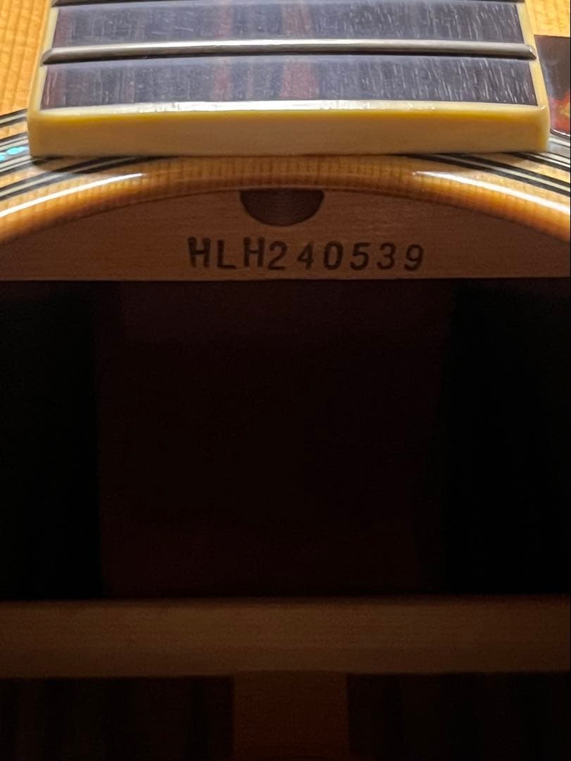 YAMAHA LL16ARE （セミハードケース付属）