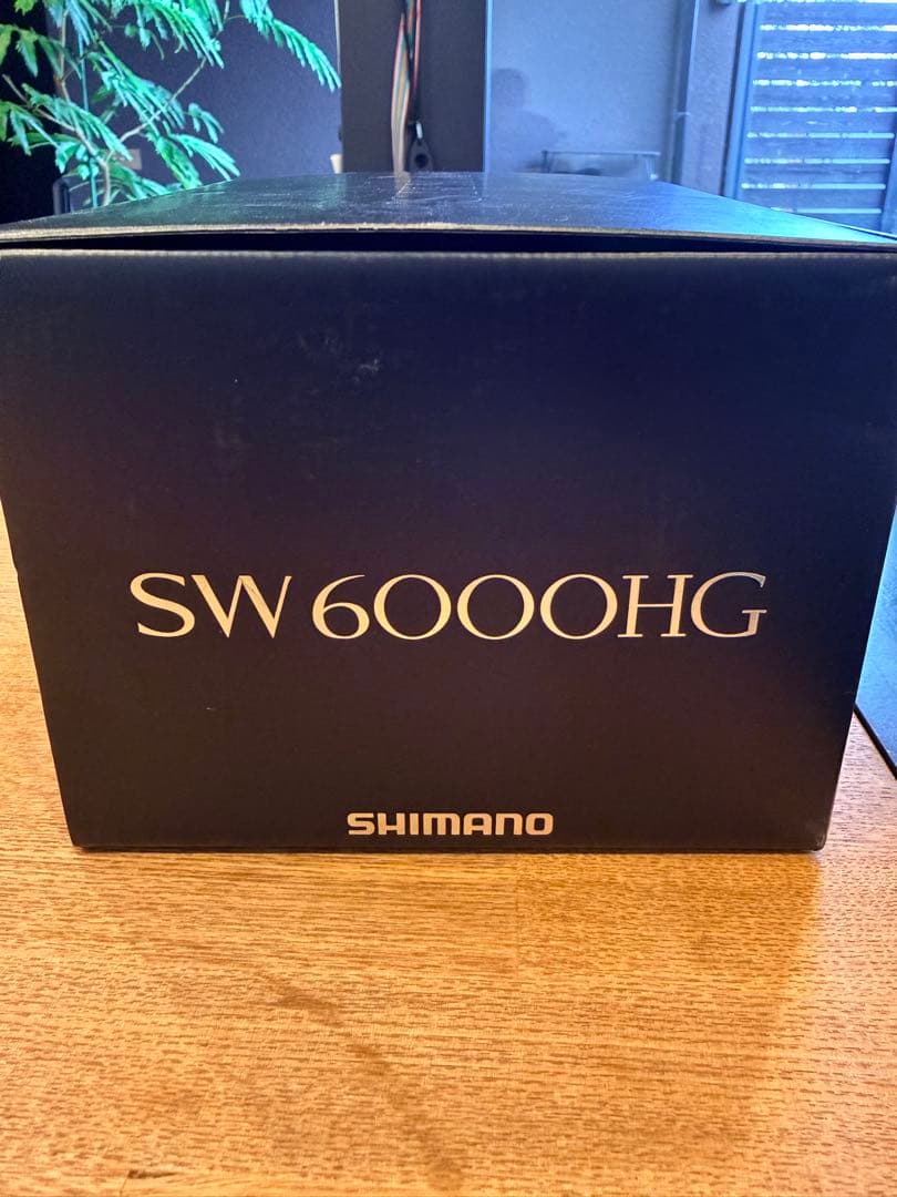 【超美品20ステラ】SHIMANO STELLA SW 6000HG