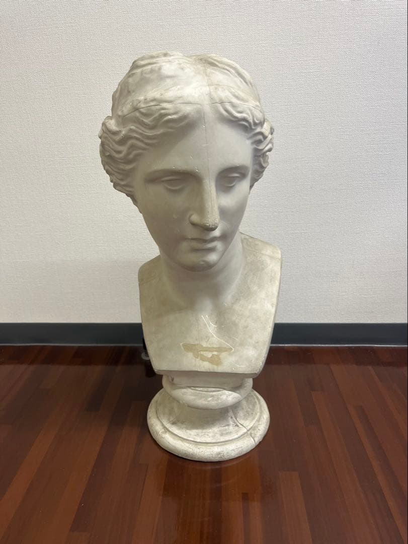 ヴィーナス 石膏像 胸像 顔 美術