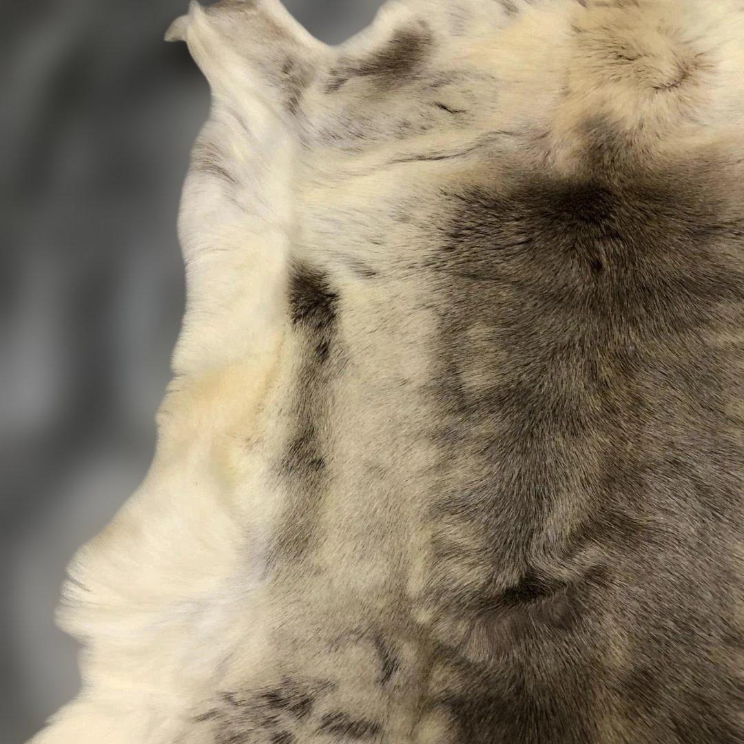 送料無料 POKKA トナカイ ムートン 天然本革 高級毛皮 251113