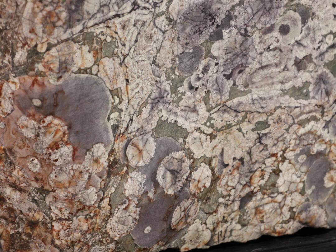 BK216 天然石　鑑賞石　梅花石　花紋石 菊花石 原石 自然石 鉱物 置物