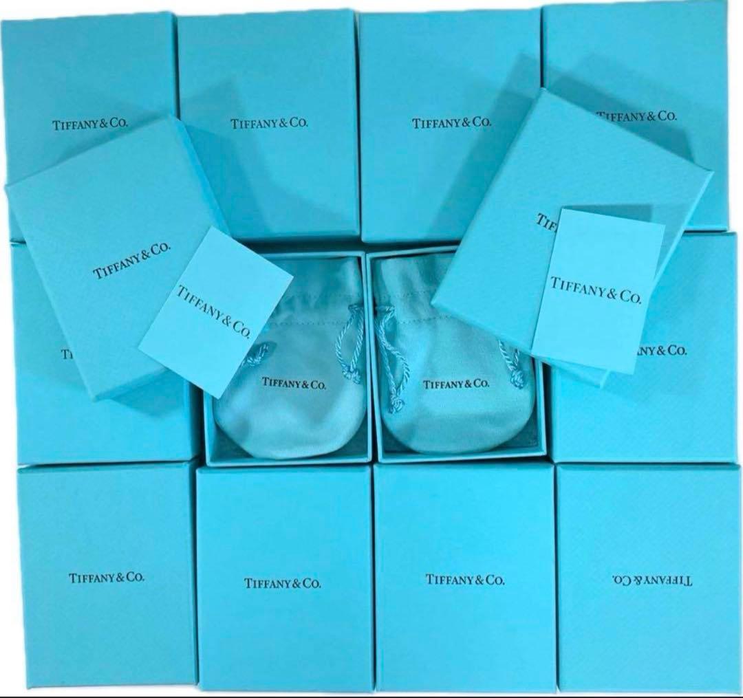 現行品　Tiffany ティファニー　空箱巾着説明書　12セット