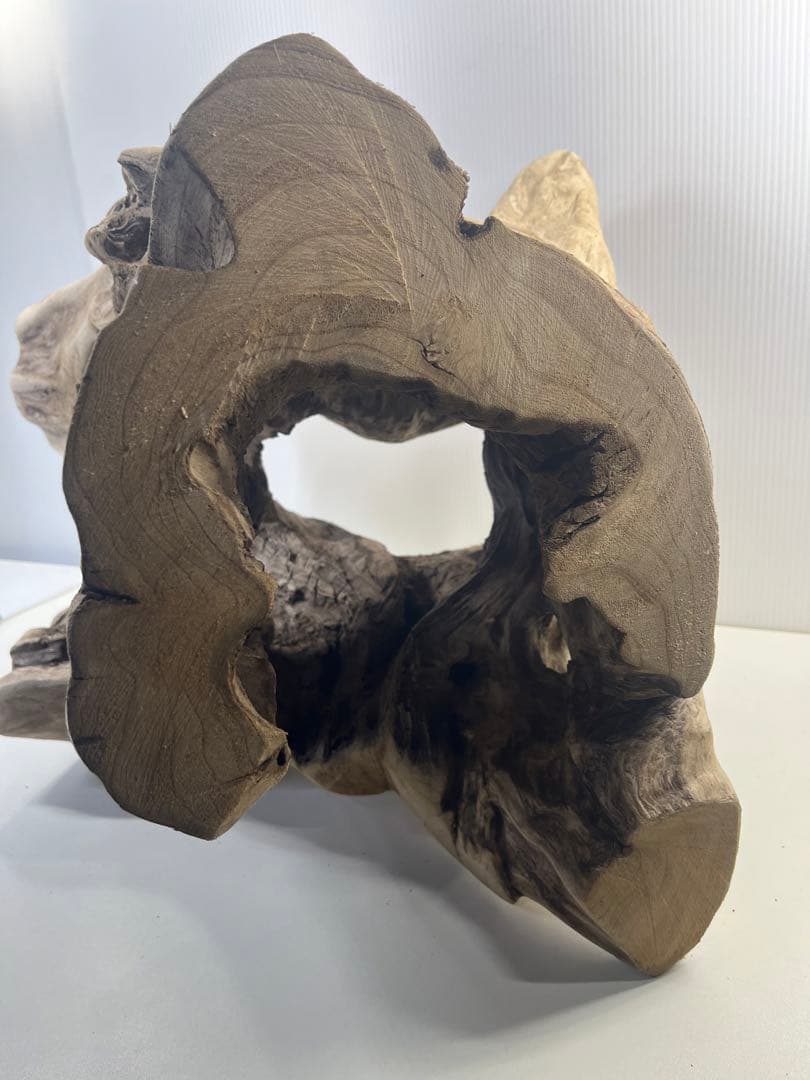 R79アク抜き済み流木 爬虫類シェルター 登り木 インテリア 生け花