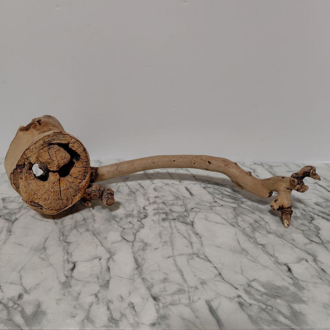 アク抜き済み流木【814】セール