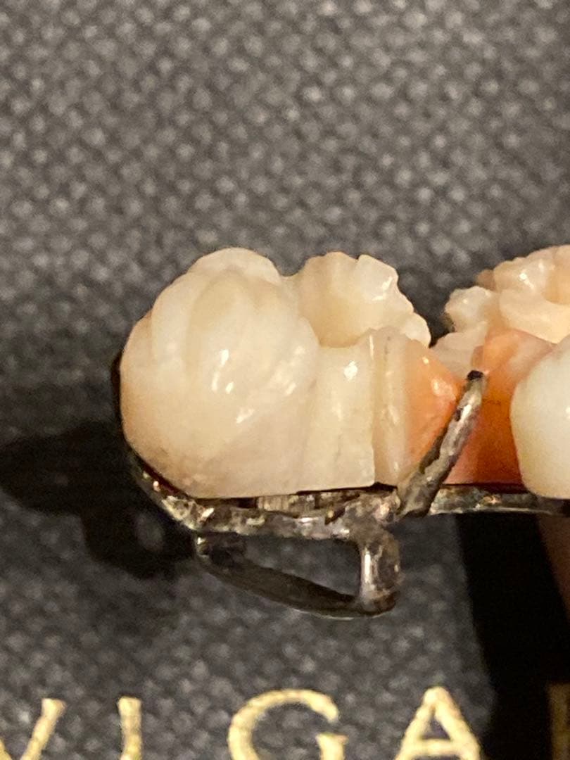 【激レア】本珊瑚　帯留　希少