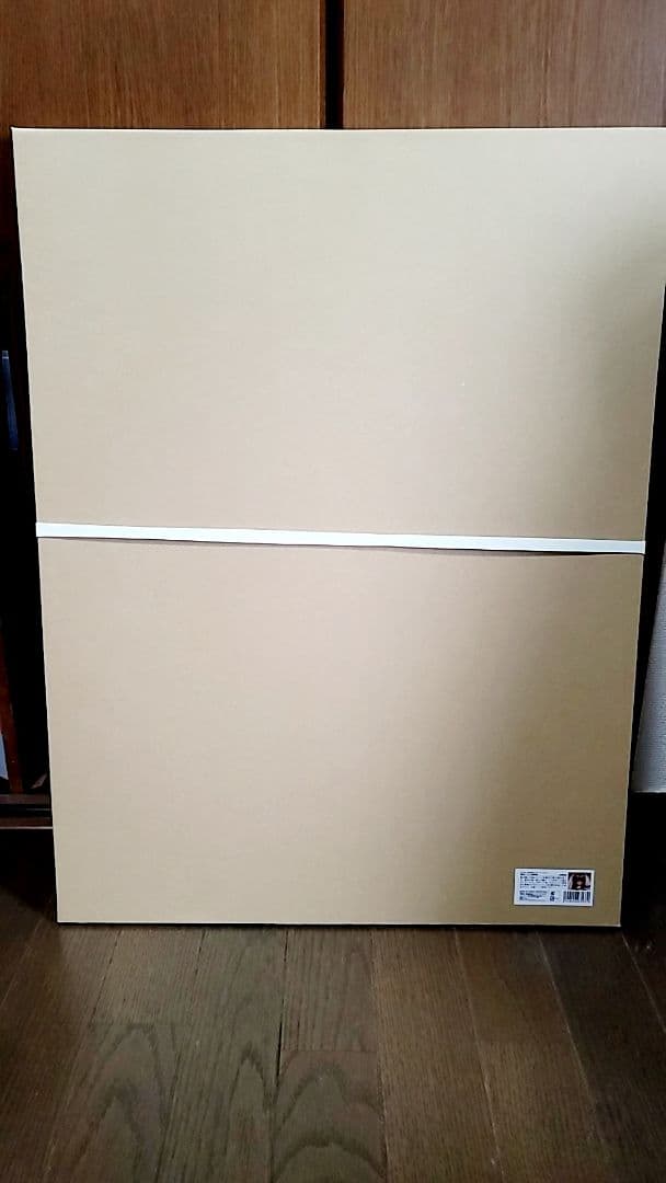 ピロ水 水澄華実 バレンタイン 直筆サイン入り複製原画