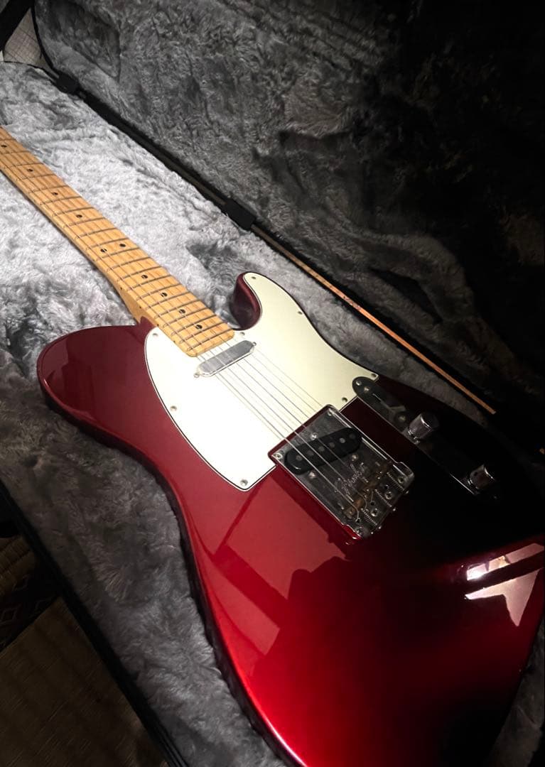 Fender American Professional テレキャスターMN
