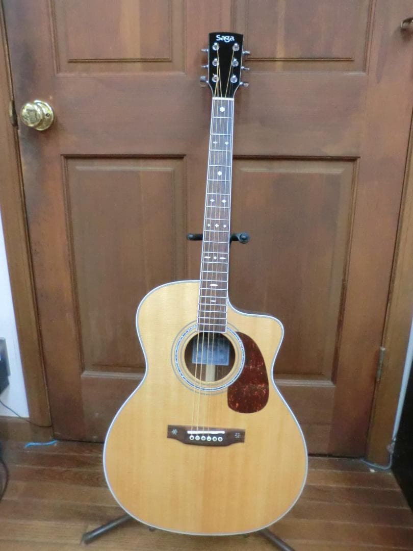 Saga A1G-C オール単板