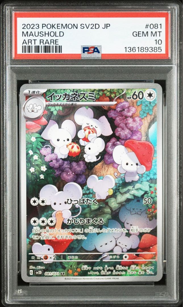 【PSA10】イッカネズミ AR[SV2D 081/071]