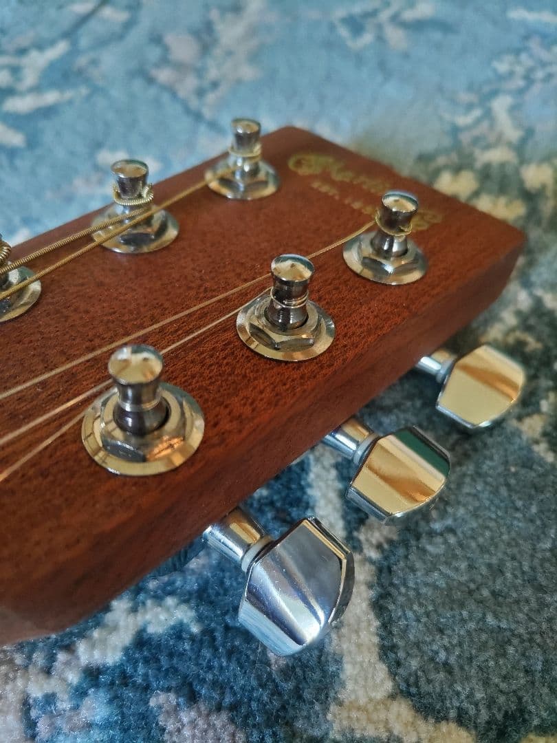 【美品】F.martin&Co 　マーティン　バックパッカー　ケース付き