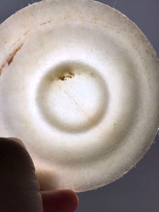 漢白玉茶碗 乾隆年制銘あり 台座付