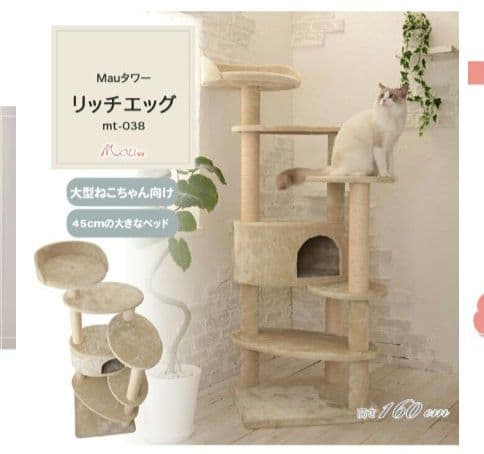 Mau　キャットタワー リッチエッグ