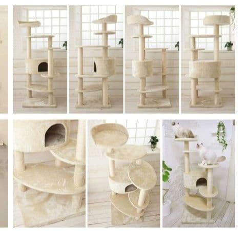 Mau　キャットタワー リッチエッグ