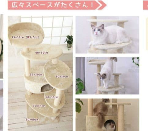 Mau　キャットタワー リッチエッグ