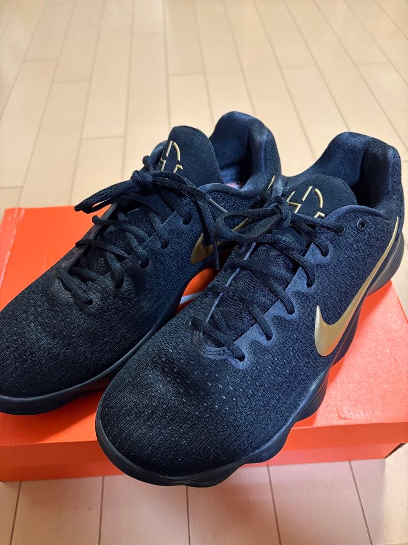 HYPER DUNK 2017 Low /ハイパーダンク 2017