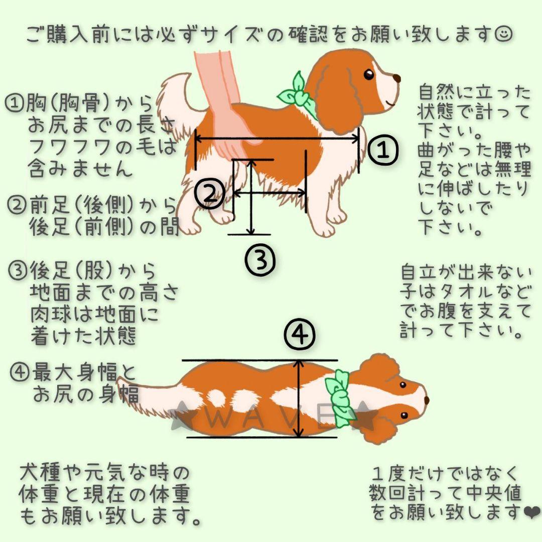 rouken.seta　犬用車椅子　犬の歩行器　歩行補助　犬の車いす