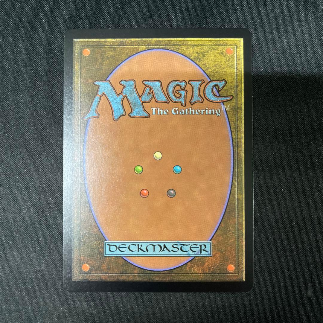 Verdant Catacombs 新緑の地下墓地FOIL023/045 MTG