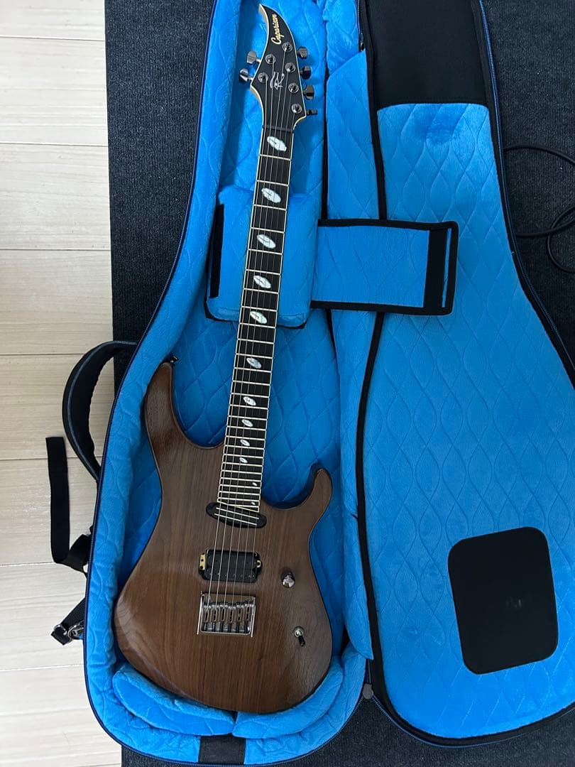 ギター Caparison Horus WB FX EF