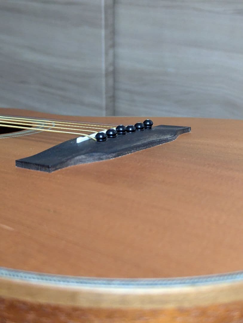 KALA KA-GTR-PLR パーラーギター シダー単板