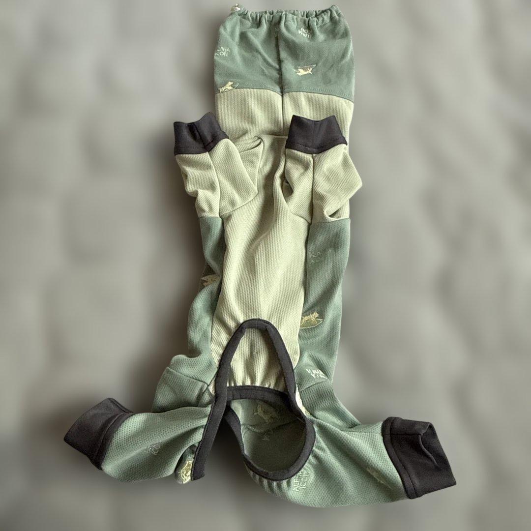 犬服 グリーン Sサイズ アルファアイコン