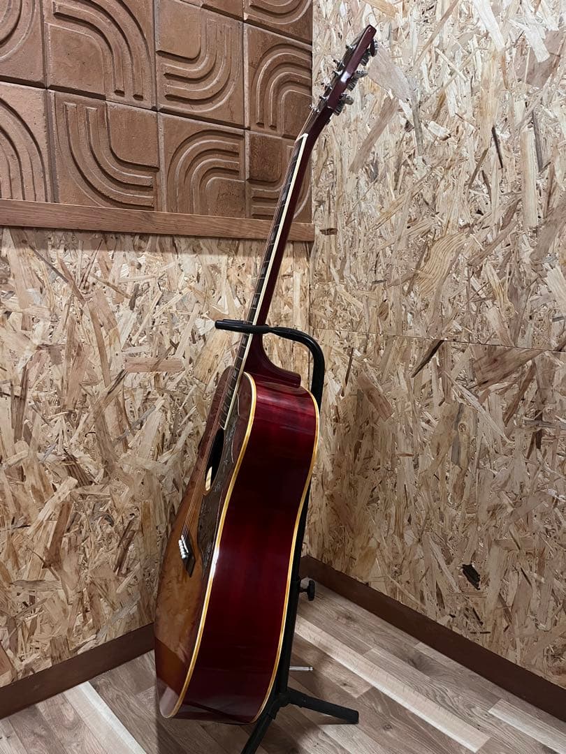 ★モラレス ハミングバード　Hummingbird 1970,s