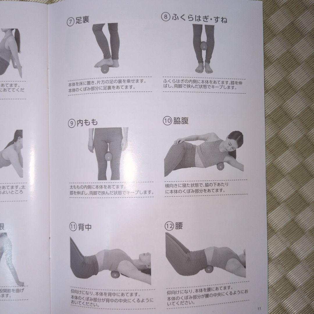 シェイプツインボール STB-100 黒 ACアダプター付き