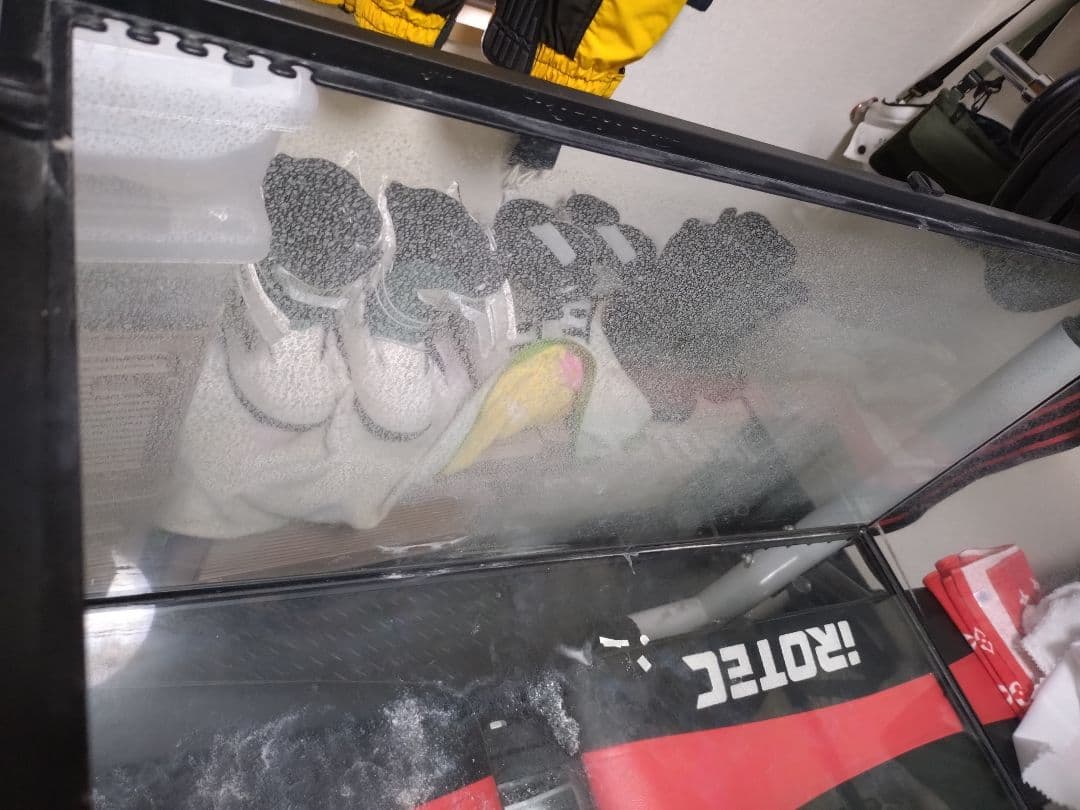 引き取り限定　グラステラリウム9045