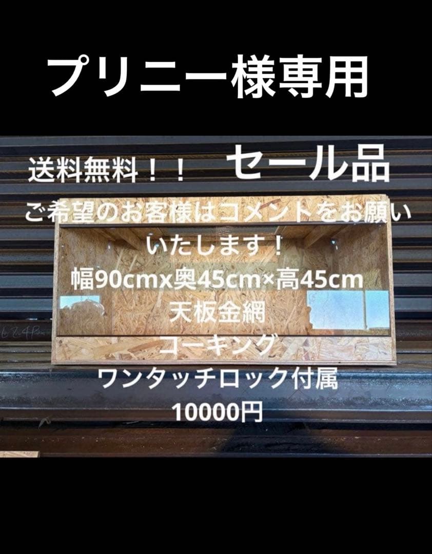 プリニー　904545