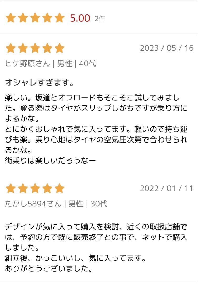 TERN AMP F1 500サイズ　新品未使用品