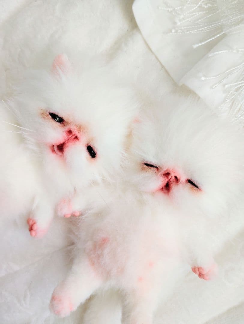 ach様❤オーダー♡生後15日お腹ぽっこり子猫ちゃん♡アートドール♡ぬいぐるみ♡