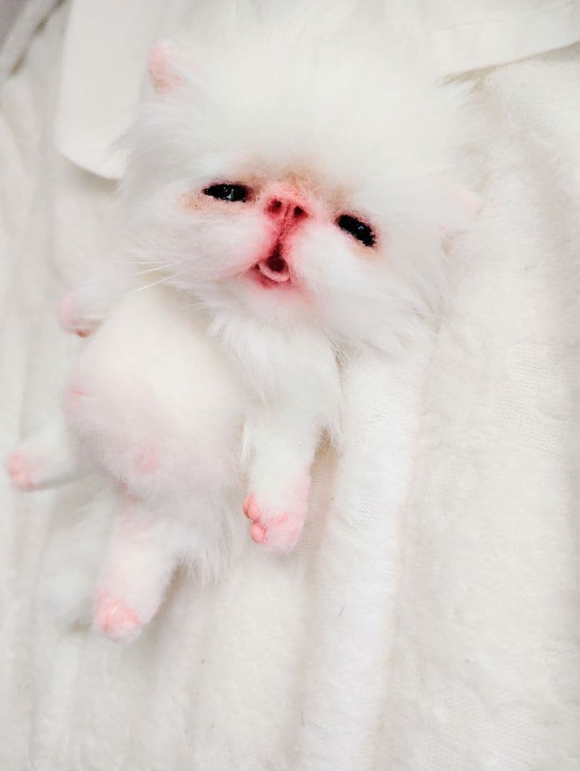 ach様❤オーダー♡生後15日お腹ぽっこり子猫ちゃん♡アートドール♡ぬいぐるみ♡