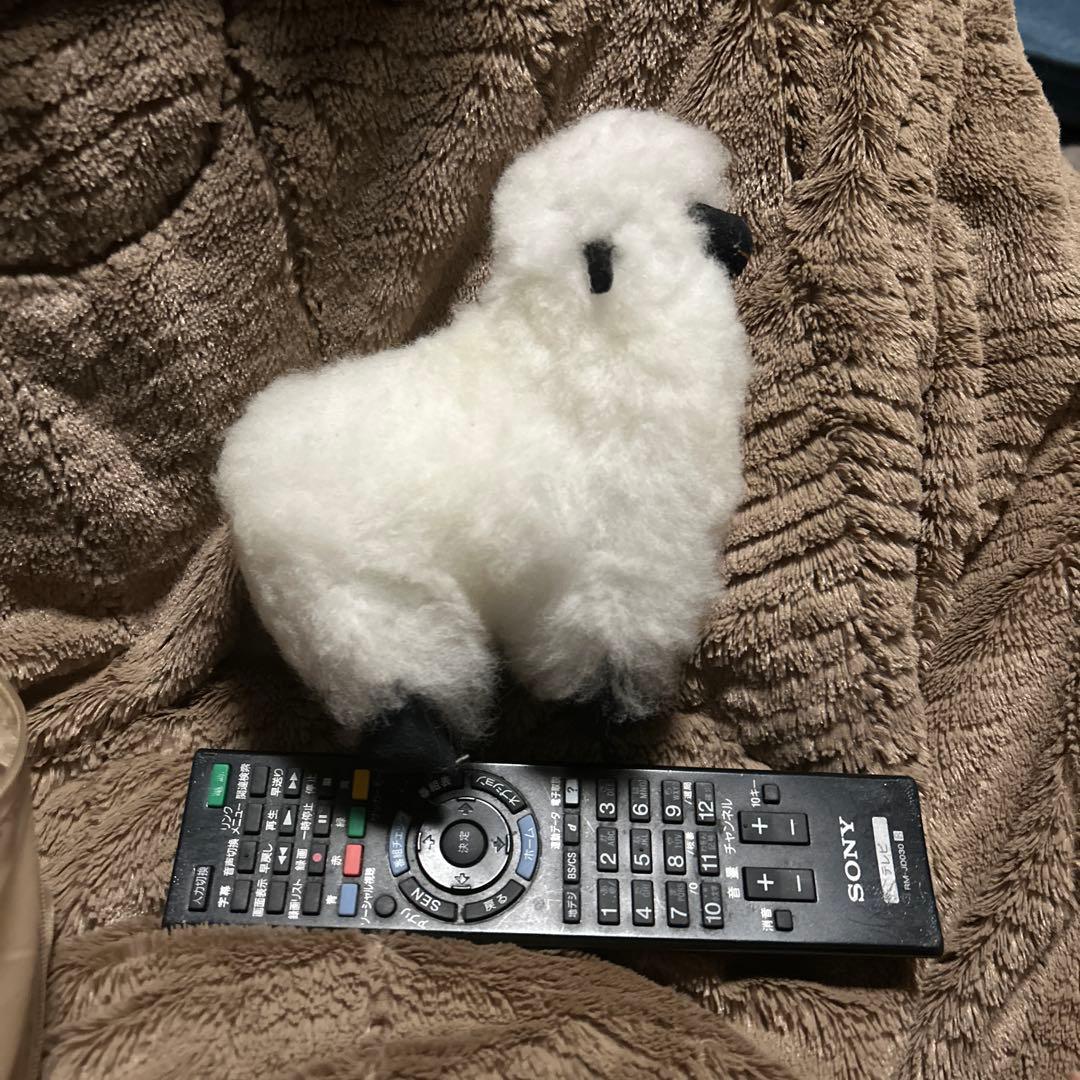 ペルー現地購入　アルパカぬいぐるみ5点セット