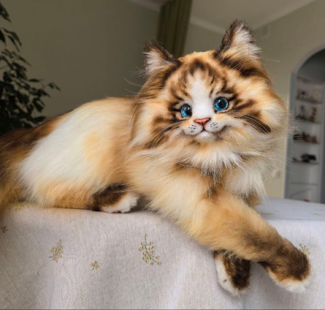 海外作家様作　アートドール　猫　ラグドール