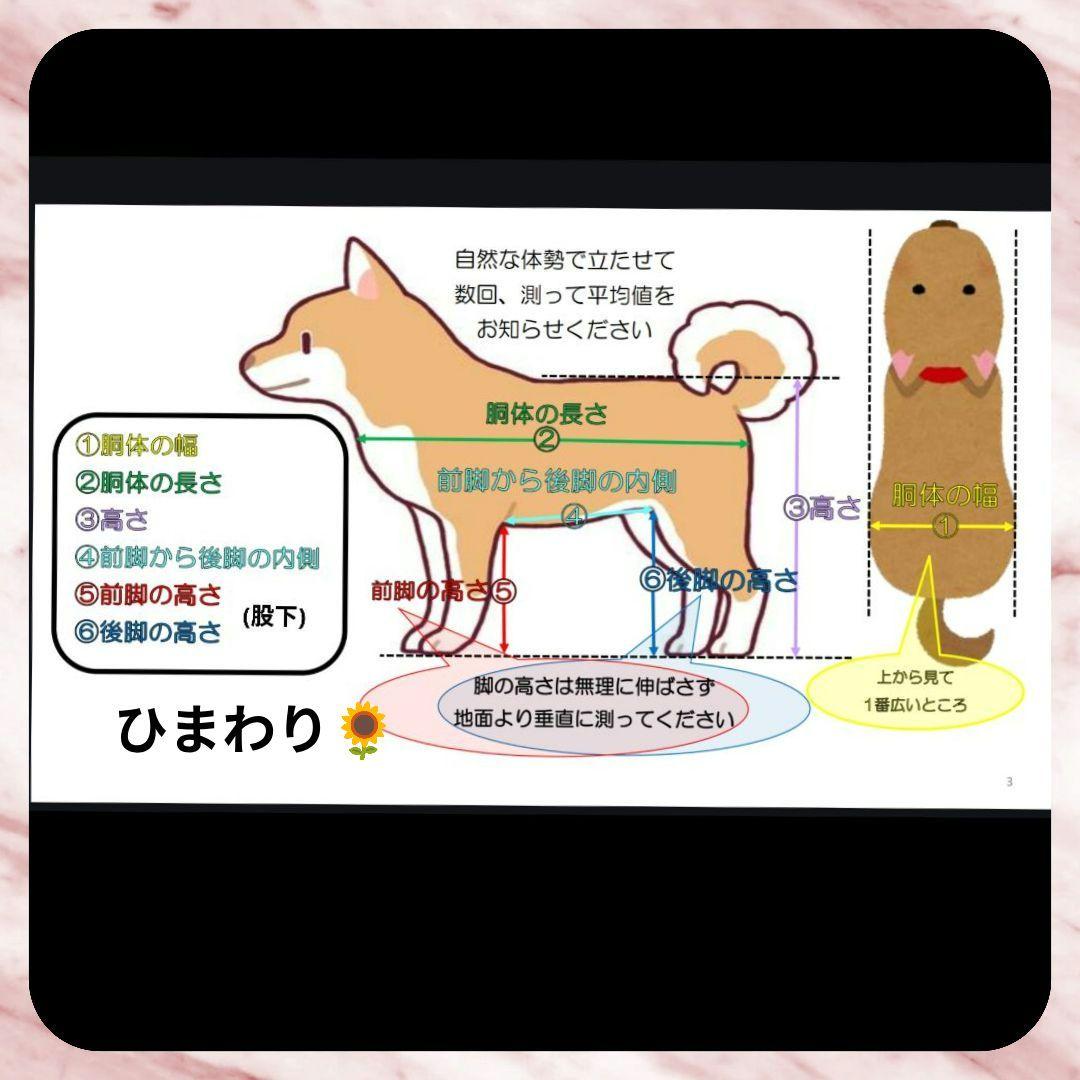 ワンちゃん4輪　リハビリ　食事補助　犬用車椅子　床ずれ防止　犬の歩行器