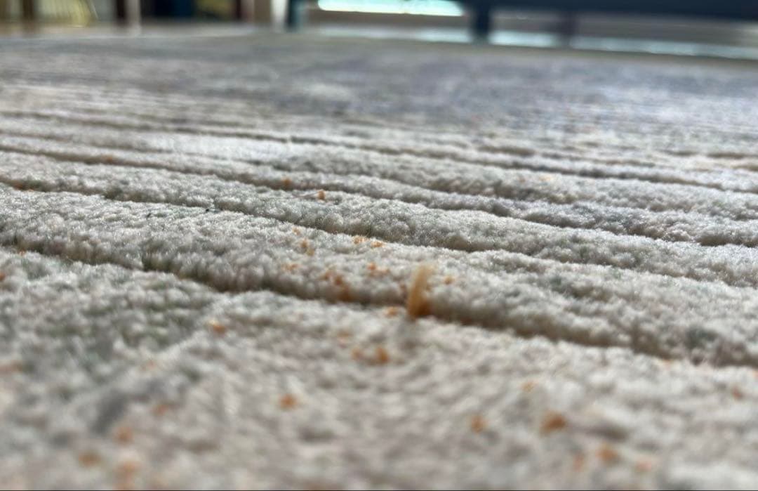 【美品】ウィルトンカーペット ロマネ 200×290cm