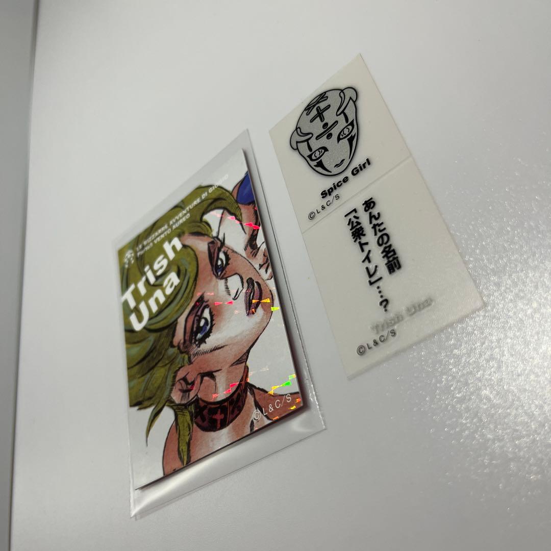 ジョジョの奇妙な冒険　リアルペイントシート 荒木飛呂彦 トリッシュ