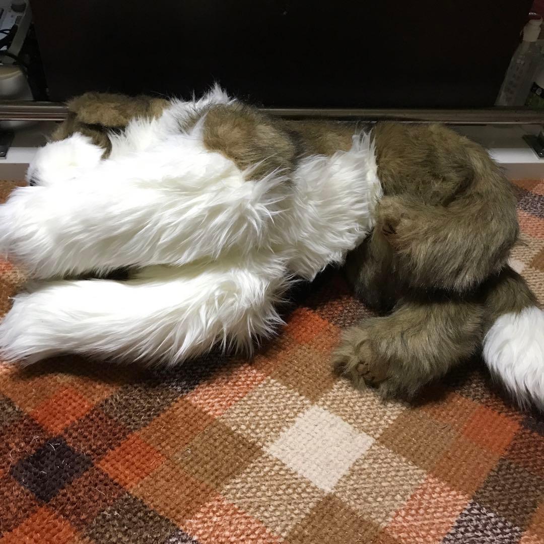 ぬいぐるみ　犬　いぬ　セリーヌ　ファースト社　レア❣️