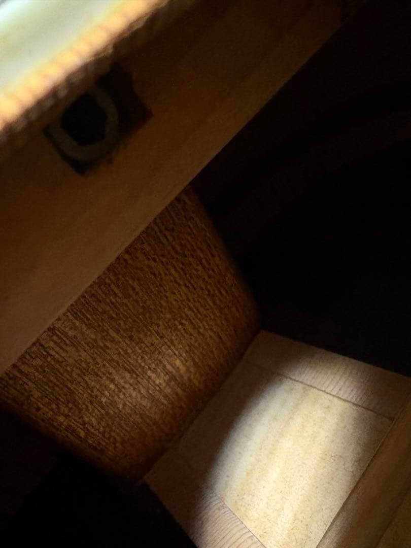 モーリス MORRIS アコースティックギター W-60