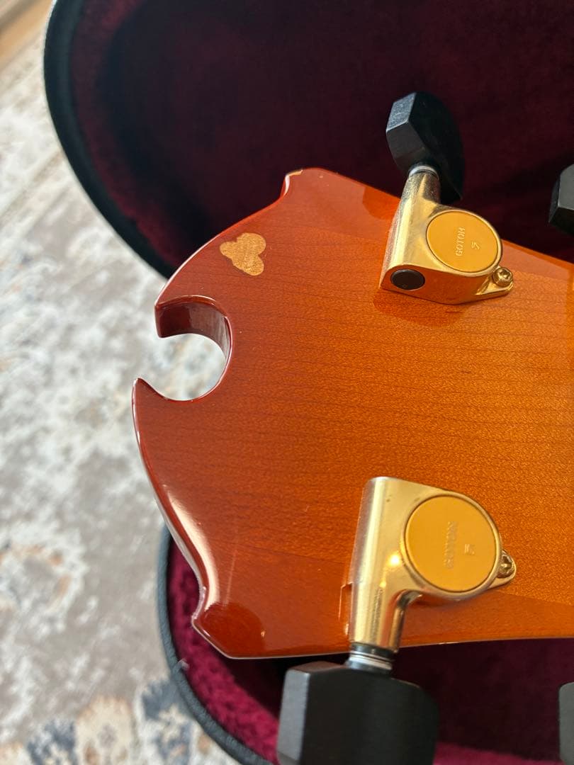 D'Aquisto Jazz Line JR / DiMarzio搭載