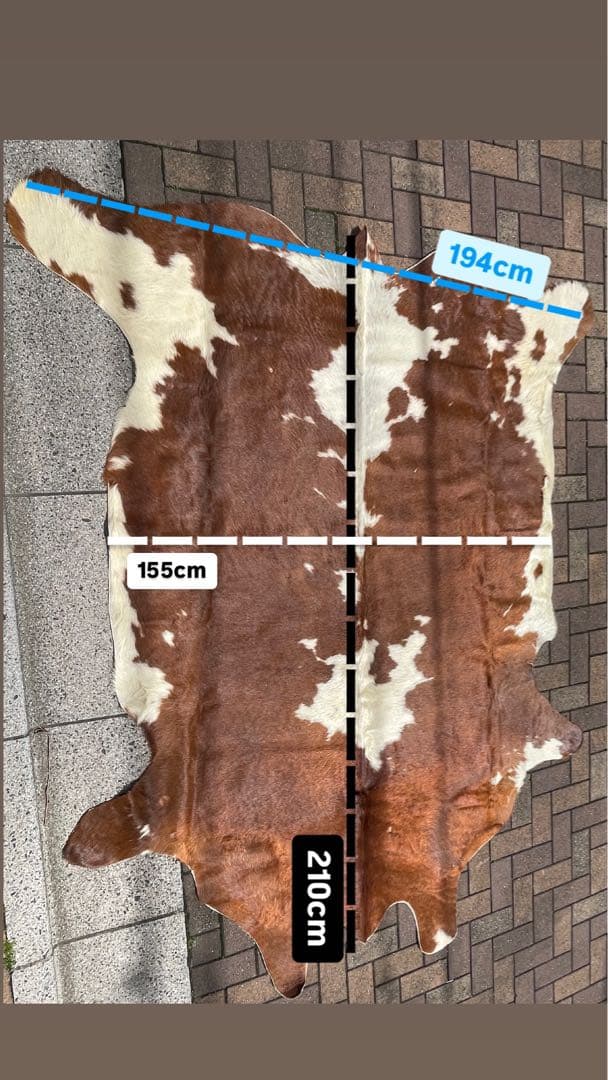 天然牛革ラグ 約210cm x 約195cm/本革大判本物/大きめカウラグ