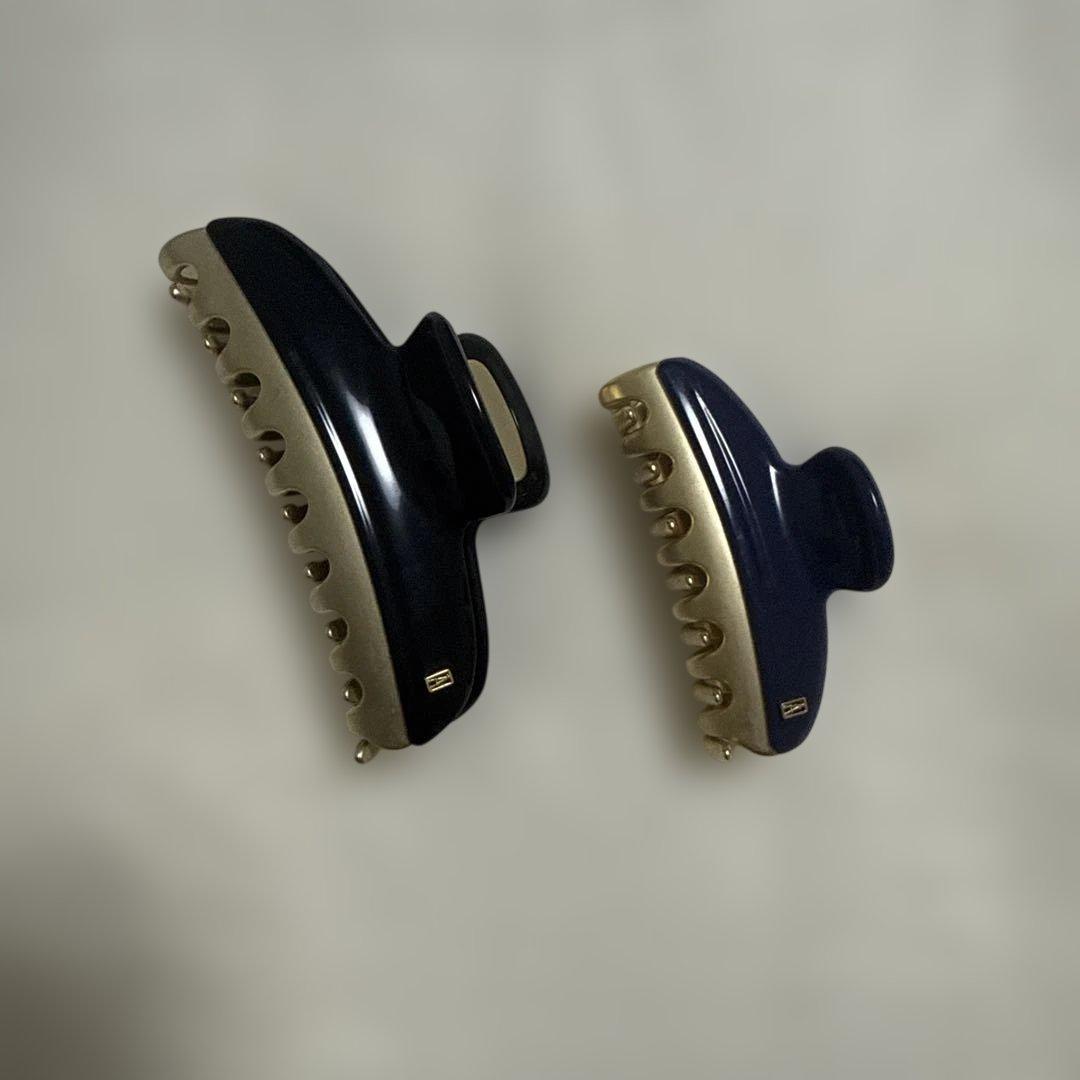 ALEXANDRE DE PARIS ヘアクリップ　2個セット