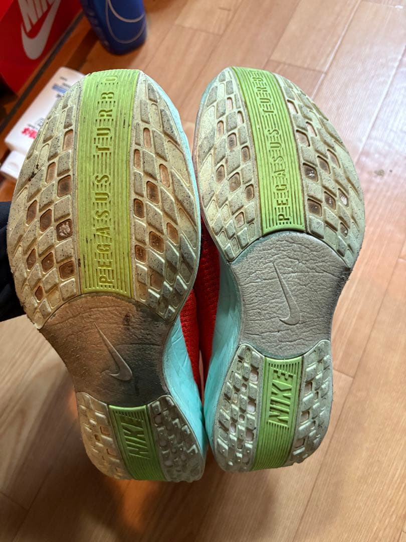 NIKE PEGASUSPLUS ペガサスプラス 27.5cm