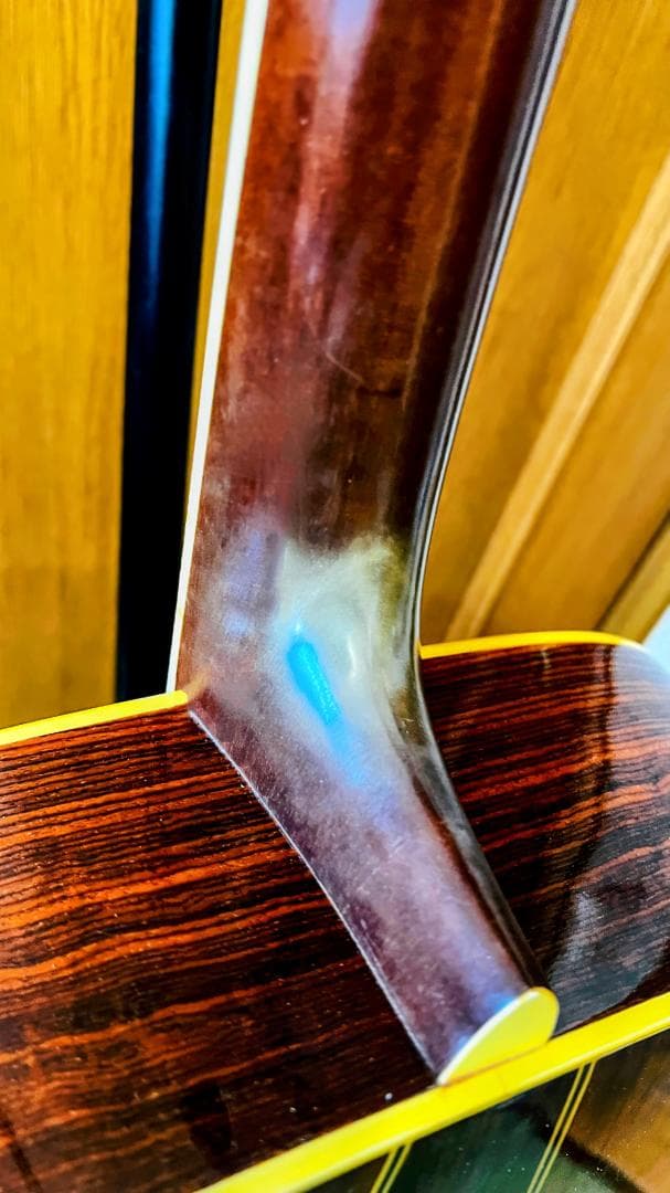 【値下中】東海楽器 Cat's eyes CE-450E 状態良