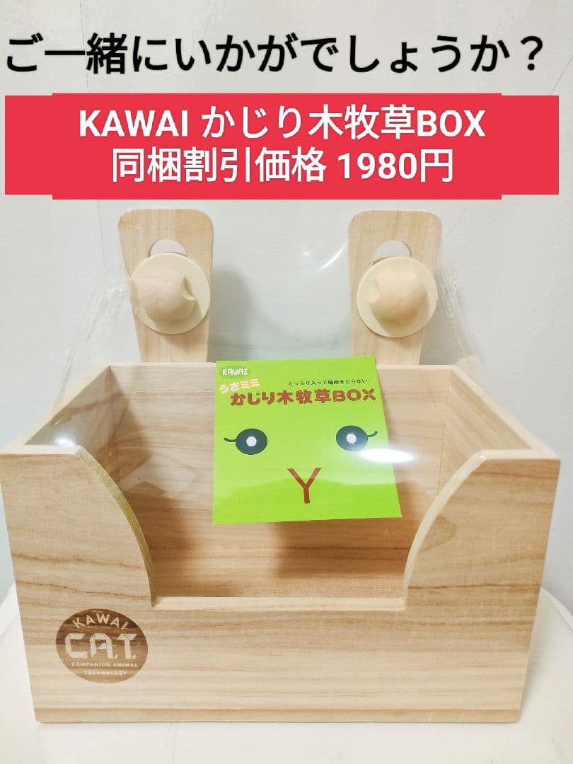 【専用】チンチラセレクションプロ600g ×10袋デグーセレクションプロ10袋