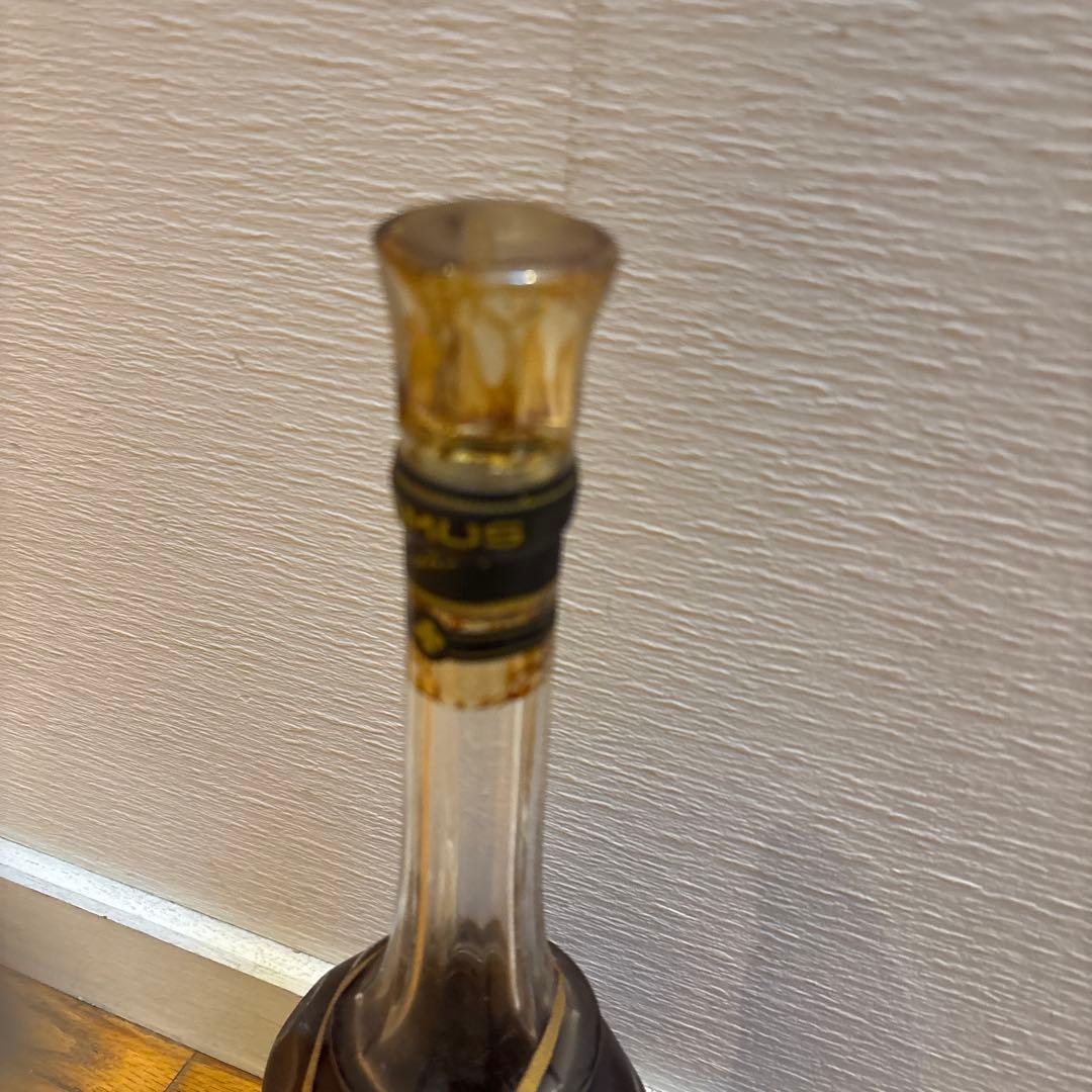 ブランデー CAMUS Cognac